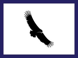 Soaring black eagle vector