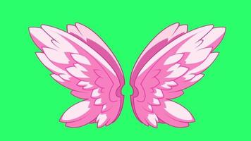 animatie roze vleugel isoleren op groene achtergrond. video