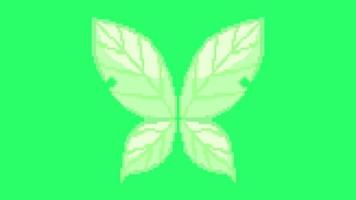 Animation white wing isolate on green background. video