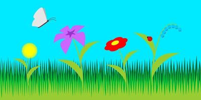 Vector illustration with butterfly flowers grass ladybug