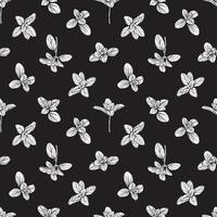 Basil Seamless Pattern.Marjoram pattern. vector