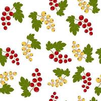 Currant fruit pattern, color vector illustration