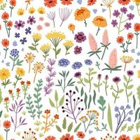 Vector seamless pattern with hand drawn wild flowers