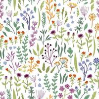 Vector seamless pattern with hand drawn wild plants, herbs and flowers, colorful botanical illustration,