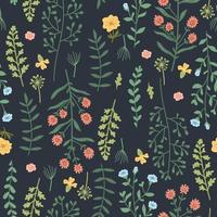 Beautiful watercolor wild field flowers seamless pattern vector