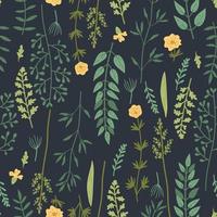 Vector seamless pattern with hand drawn wild plants, herbs and flowers, colorful botanical illustration,