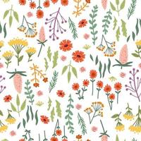 Vector seamless pattern with hand drawn wild plants, herbs and flowers, colorful botanical illustration,