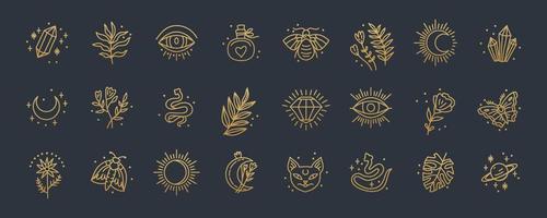 Witch magic design vector elements set.