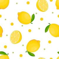 Seamless background and fruit pattern. vector