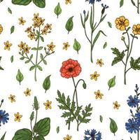 Meadow flowers summer seamless pattern. Colorful hand drawn vector illustration. Botany design