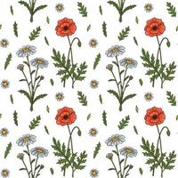 Meadow flowers summer seamless pattern. Colorful hand drawn vector illustration. Botany design