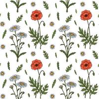 Meadow flowers summer seamless pattern. Colorful hand drawn vector illustration. Botany design