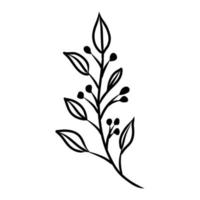 decorative flower vector sketch