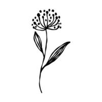 decorative flower vector sketch