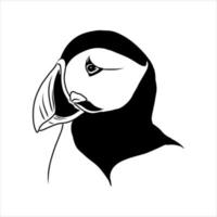 the puffin bird is flying vector sketch