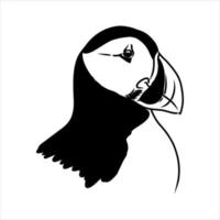 the puffin bird is flying vector sketch