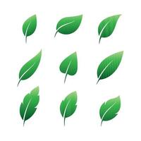 vector leaf element set color set