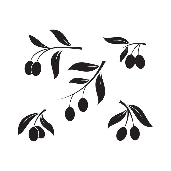 邦楽 OLIVE OIL - Big Silhouette set-olive-oil-plant-silhouette