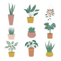 Set of house plants. Collection home decor of potted plants flat style. Vector illustration isolated on white background