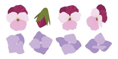 Set of colorful blooming flowers illustration. vector