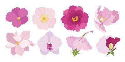 Set of colorful blooming flowers illustration. vector