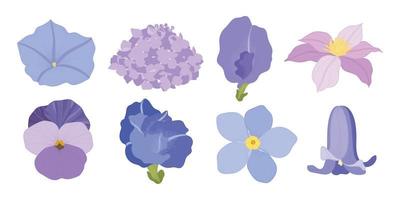 Set of colorful blooming flowers illustration. vector