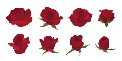 Set of red rose blooming flowers illustration.