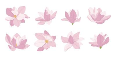 Set of pink magnolia blooming flowers illustration. vector