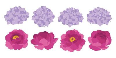 Set of colorful blooming flowers illustration. vector