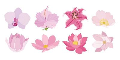 Set of colorful blooming flowers illustration. vector