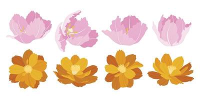 Set of colorful blooming flowers illustration. vector