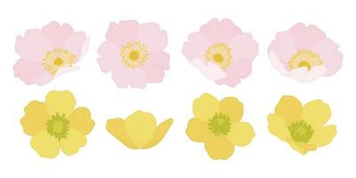 Set of colorful blooming flowers illustration. vector