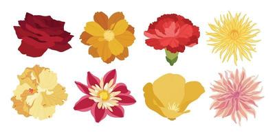 Set of colorful blooming flowers illustration. vector