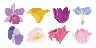 Set of colorful blooming flowers illustration. vector