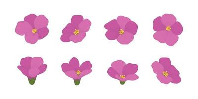 Set of pink blooming flowers illustration. vector