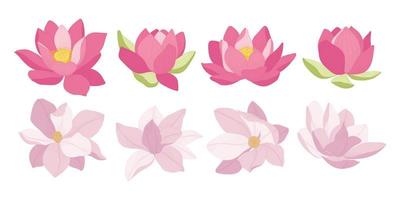 Set of colorful blooming flowers illustration. vector