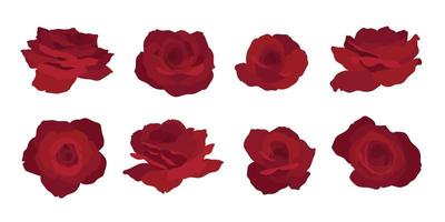Set of red rose blooming flowers illustration.