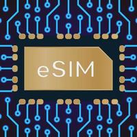 Embedded SIM concept vector