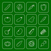 vector vegetable icon set isolated on green background