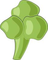 Single element Broccoli. Draw illustration in colors vector