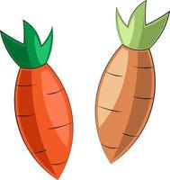 Single element Carrot. Draw illustration in colors vector