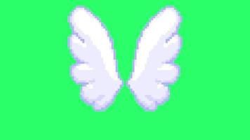 Animation white wing isolate on green background.