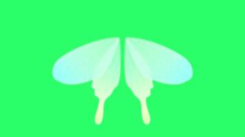 Animation white wing isolate on green background.