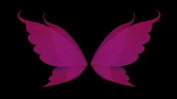 Animation pink wing isolate on black background. video
