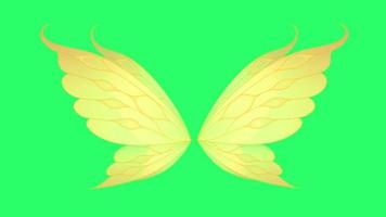 Animation yellow wing isolate on green background. video