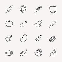 vector vegetable line icon set isolated on background