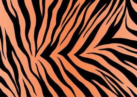 Tiger Fur Texture Background vector