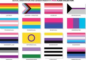 Sexual Orientation and Gender Identity Pride Flags Set vector