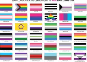 Sexual Orientation and Gender Identity Flags vector