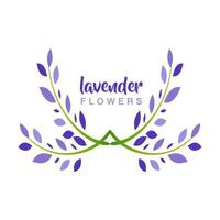 hermoso marco de hoja de lavanda en diseño vectorial. fondo lavanda simple y elegante. lavanda fondo elemento basico recursos graficos vector